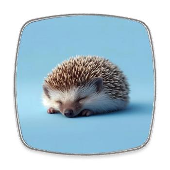 Blauer schlafender Igel - Viereckiger Kühlschrankmagnet - Weiß - Vorne