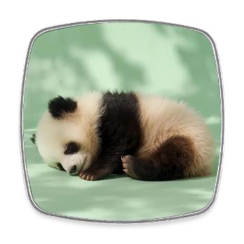 264 Pandas - Viereckiger Kühlschrankmagnet - Weiß - Vorne