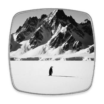 Nihilist Penguin - Viereckiger Kühlschrankmagnet - Weiß - Vorne