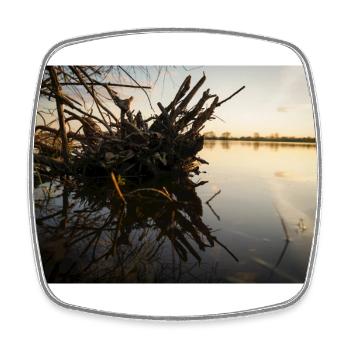 Bois de racine au coucher du soleil - Magnet carré - blanc - Devant