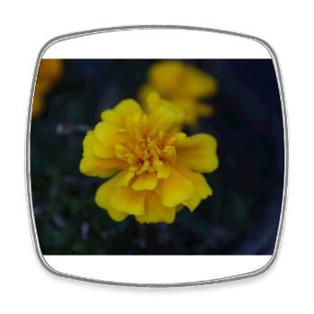 gelbe Blume - Viereckiger Kühlschrankmagnet - Weiß - Vorne