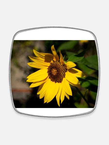 Sonnenblume - Viereckiger Kühlschrankmagnet - Weiß