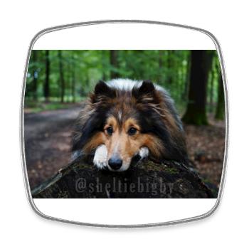 Cute dog, cute sheltie on tree trunk - Square fridge magnet - white - Front
