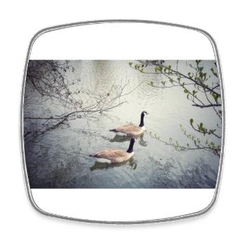 Couple de grands oiseaux - Magnet carré - blanc - Devant