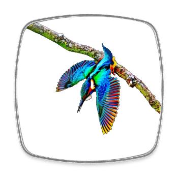 eisvogel - Viereckiger Kühlschrankmagnet - Weiß - Vorne