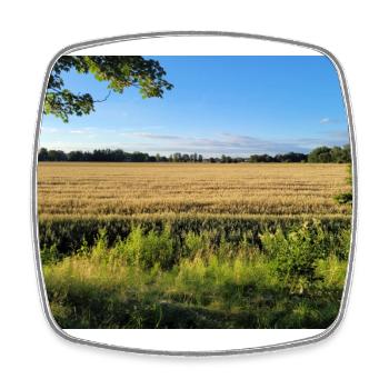 Bayerische Landschaft - Viereckiger Kühlschrankmagnet - Weiß - Vorne