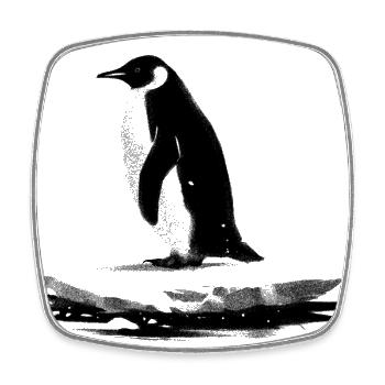 Majestic Penguin - Square fridge magnet - white - Front