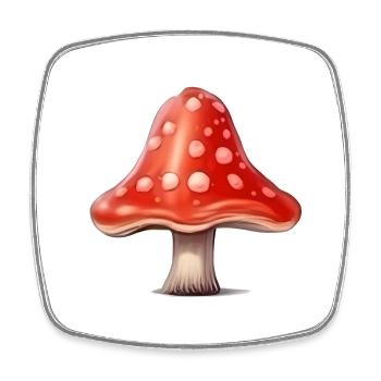 Fliegenpilz Pilze Pilz Sammler - Viereckiger Kühlschrankmagnet - Weiß - Vorne