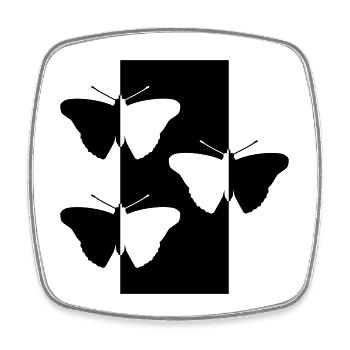Butterflies - Square fridge magnet - white - Front