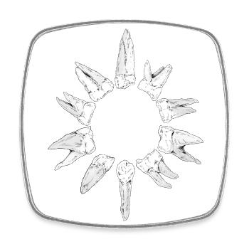 Teeth - Square fridge magnet - white - Front