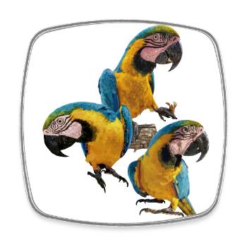 The blue and yellow macaw - Square fridge magnet - white - Front