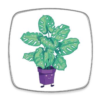 Plants Potted Plant Monstera Cartoon Drawing - Square fridge magnet - white - Front