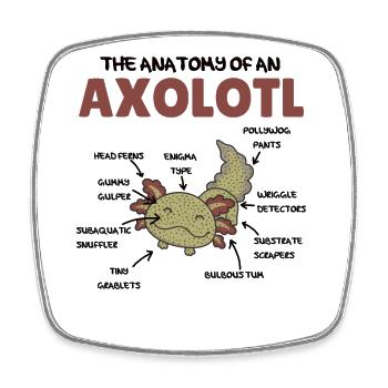 Axolotl Erklärung Anatomy of an Axolotl - Viereckiger Kühlschrankmagnet - Weiß - Vorne