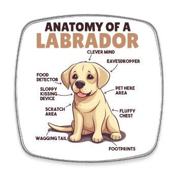 Hunde Erklärung Anatomy eines Labrador - Viereckiger Kühlschrankmagnet - Weiß - Vorne