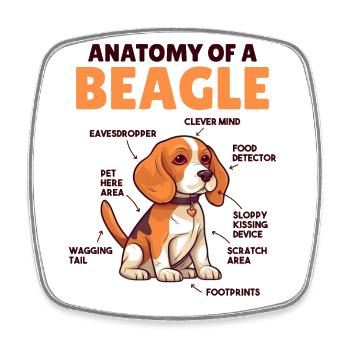Hunde Erklärung Anatomy eines Beagle - Viereckiger Kühlschrankmagnet - Weiß - Vorne