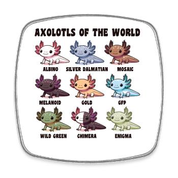 Axolotls aus der Welt süße Tiere Axolotl Arten - Viereckiger Kühlschrankmagnet - Weiß - Vorne