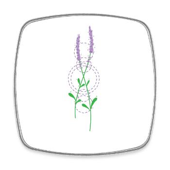 Lavendel Pflanze Garten Duft Aroma - Viereckiger Kühlschrankmagnet - Weiß - Vorne