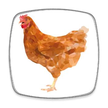 Chicken - Square fridge magnet - white - Front