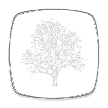 Weißer Baum Silhouette Eiche Wald Natur  - Viereckiger Kühlschrankmagnet - Weiß - Vorne