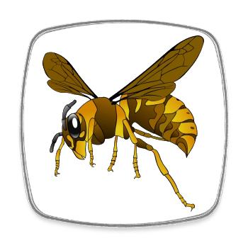 hornet - Viereckiger Kühlschrankmagnet - Weiß - Vorne