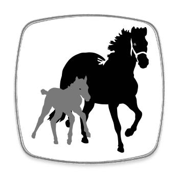 pferde - Square fridge magnet - white - Front