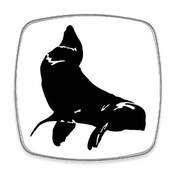 Fur Seal - Square fridge magnet - white - Front