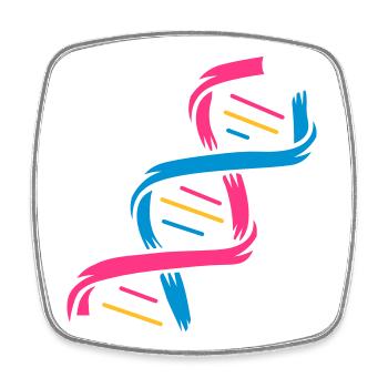 Die Struktur eines DNA-Moleküls - Viereckiger Kühlschrankmagnet - Weiß - Vorne