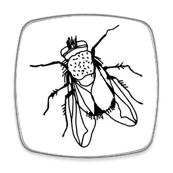 Bow tie - transparent - Square fridge magnet - white - Front