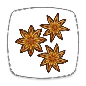 Three shining star anise - spice and medicinal plant - Square fridge magnet - white - Front