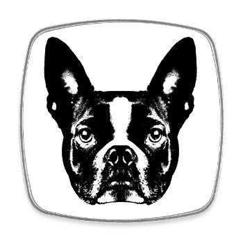 Boston Terrier / Portrait / Face - Square fridge magnet - white - Front