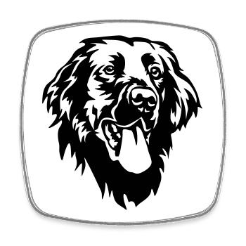 Tête de retriever à revêtement plat - Magnet carré - blanc - Devant
