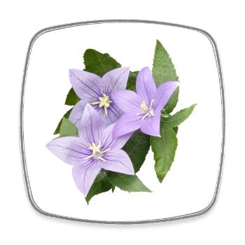 FLEUR DE BALLON VIOLET - Magnet carré - blanc - Devant