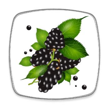 wunderschöne dunkelviolette Brombeeren mit Blätter - Viereckiger Kühlschrankmagnet - Weiß - Vorne