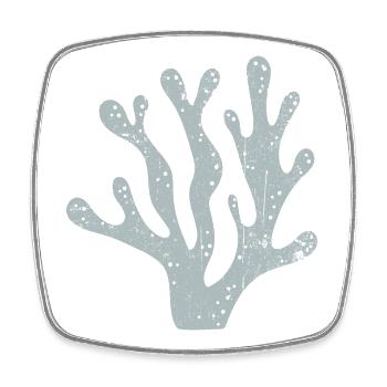 Azurblaue Korallen-Silhouette - Viereckiger Kühlschrankmagnet - Weiß - Vorne