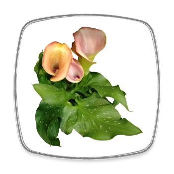 Fleurs de Calla en vert - Magnet carré - blanc - Devant