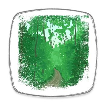 Forest path with frayed edge - Square fridge magnet - white - Front