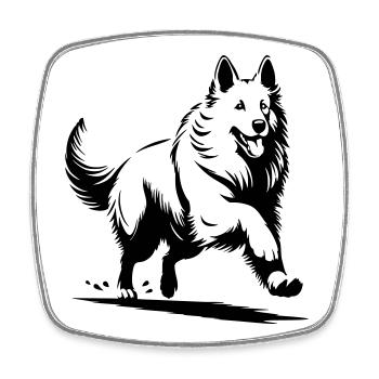 Schweizer Schäferhund - Viereckiger Kühlschrankmagnet - Weiß - Vorne