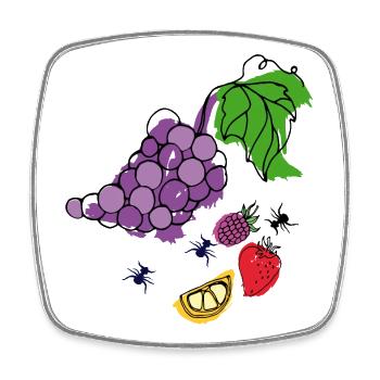 Obst mit Insekten - Viereckiger Kühlschrankmagnet - Weiß - Vorne