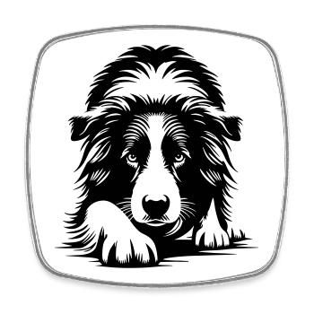 Border Collie - Square fridge magnet - white - Front