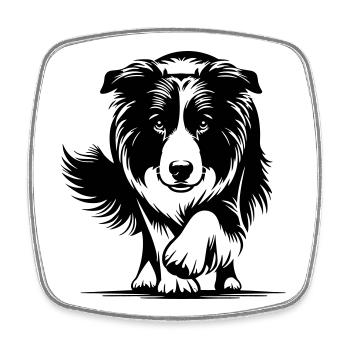 Border Collie - Square fridge magnet - white - Front