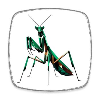 Praying mantis – A masterpiece of nature - Square fridge magnet - white - Front
