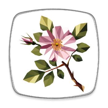 Dog Rose – Delicate wild rose in geometric style - Square fridge magnet - white - Front