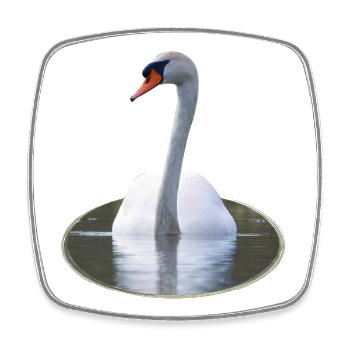 Cygne élégant sur une eau calme - Magnet carré - blanc - Devant
