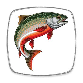 Saibling Forelle Angeln Fischen Fliegenfischen - Viereckiger Kühlschrankmagnet - Weiß - Vorne