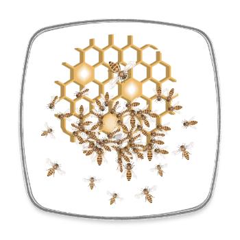 Detailreicher Bienenschwarm auf Honigwabe - Viereckiger Kühlschrankmagnet - Weiß - Vorne