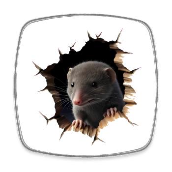 Rat out of the hole - Square fridge magnet - white - Front