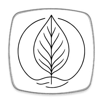Minimalist Leaf Line Art – Organische Pflanzenform - Viereckiger Kühlschrankmagnet - Weiß - Vorne