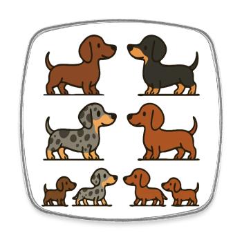 Dachshund Quartet Illustrationspaket - Viereckiger Kühlschrankmagnet - Weiß - Vorne