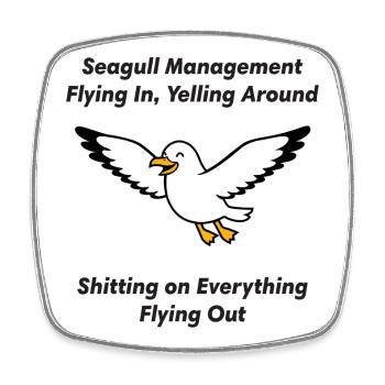 Seagull Management Chaos - Square fridge magnet - white - Front