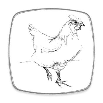 Huhn - Viereckiger Kühlschrankmagnet - Weiß - Vorne